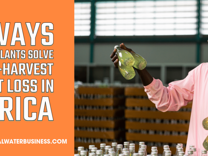 7 Ways Juice Plants Solve Post-Harvest Fruit Loss in Africa